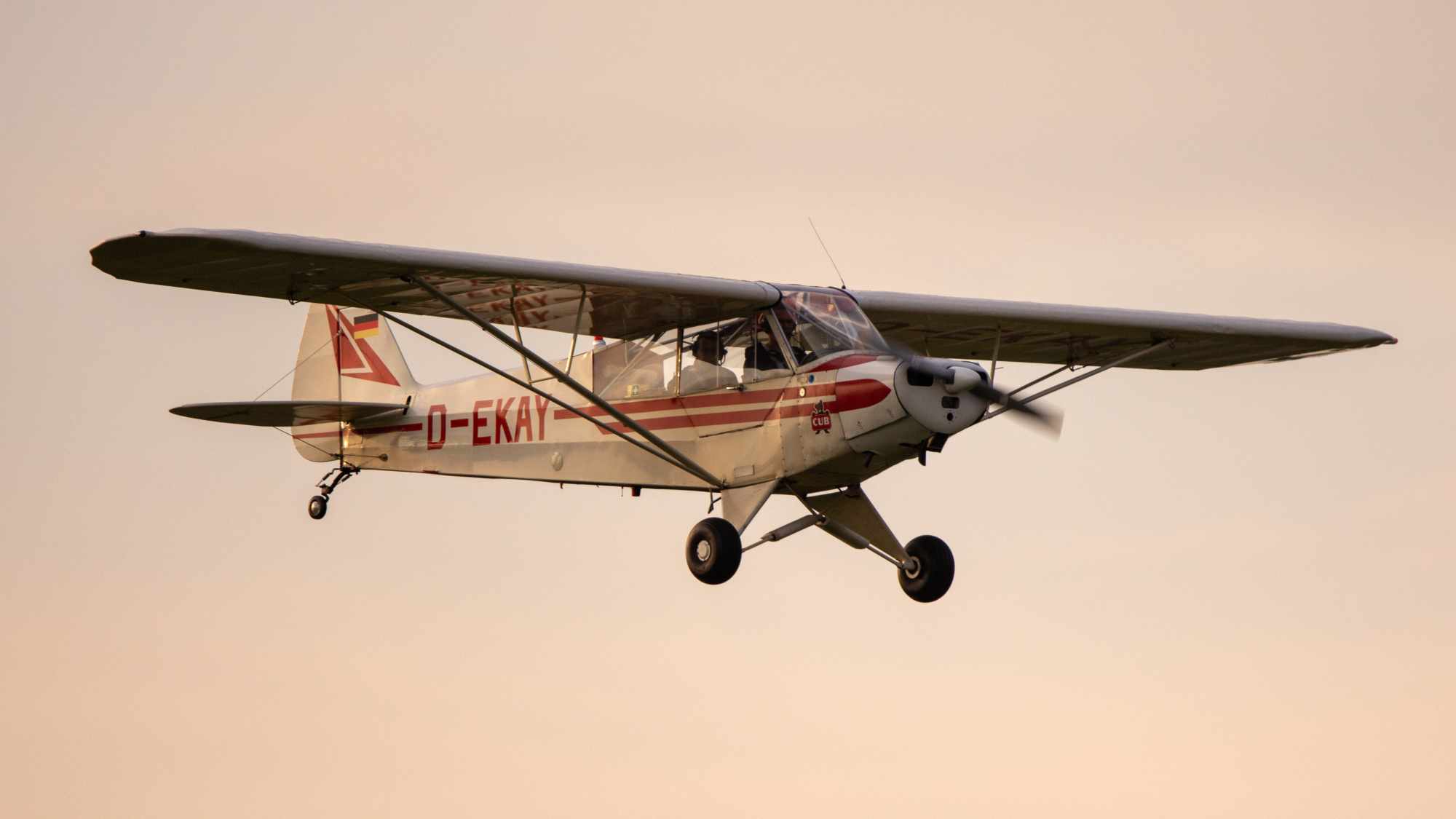 D-EKAY - Piper PA-18 Super Cub