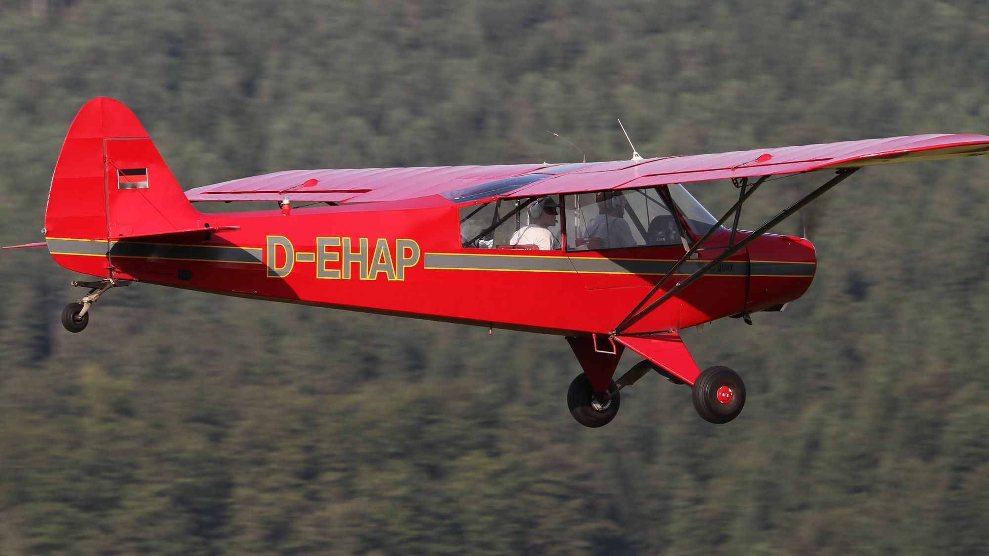 D-EHAP - Piper Pa18